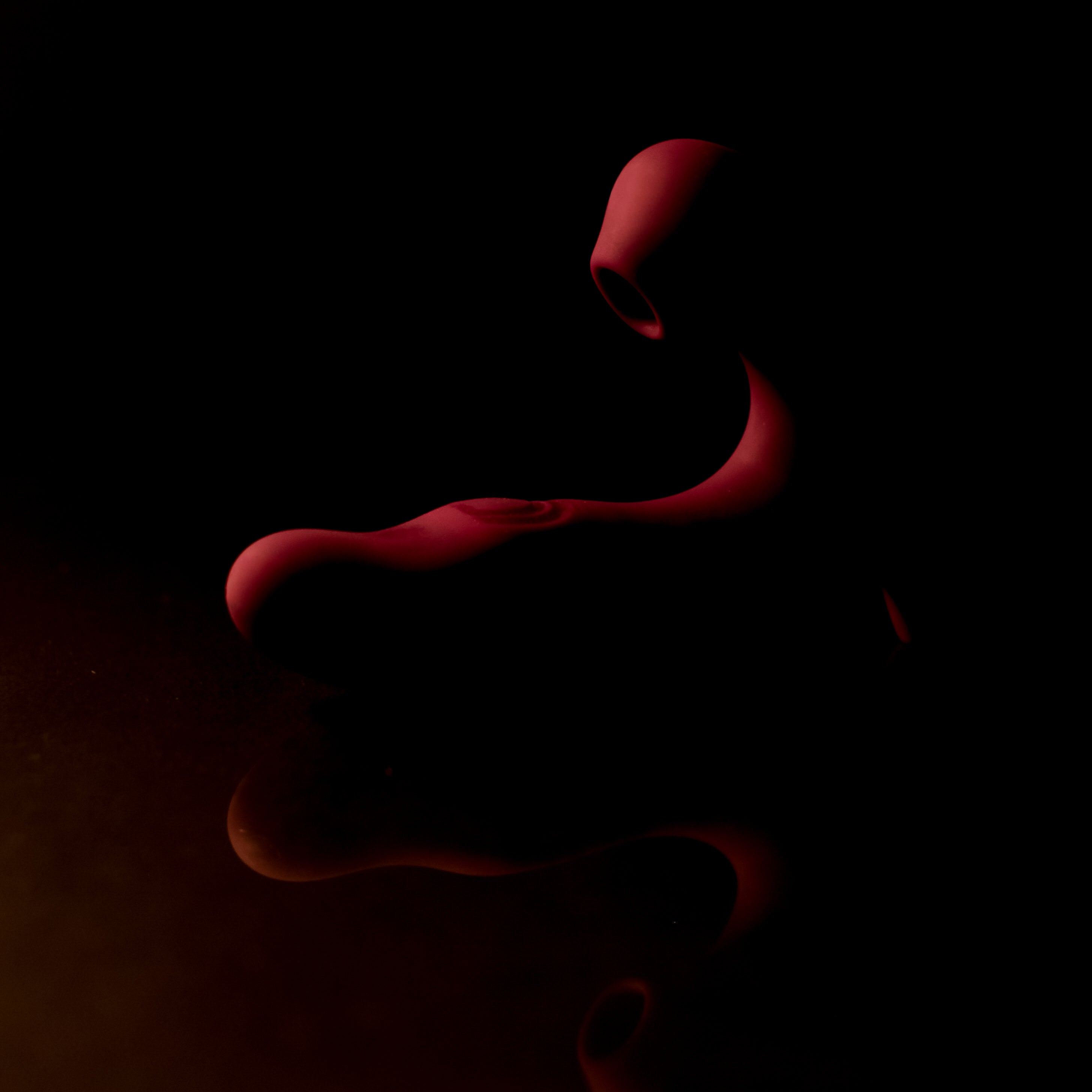 Red pleasure toy on a black background